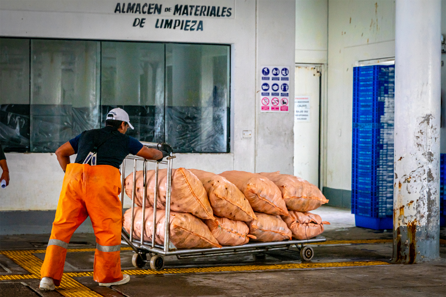 Trabajo de exportación  El recorrido del erizo rojo llega casi a su fin. Tras horas en el mar, la captura es pesada y registrada antes de ser cargada. Cada costal encierra el esfuerzo colectivo de los pescadores y, al mismo tiempo, moviliza una economía local que se activa alrededor de la faena: desde la extracción del erizo en el mar, el trabajo de los tripulantes a bordo y el apoyo en tierra, hasta quienes finalmente lo trasladan al comprador.  Autor: Danyer Mamani