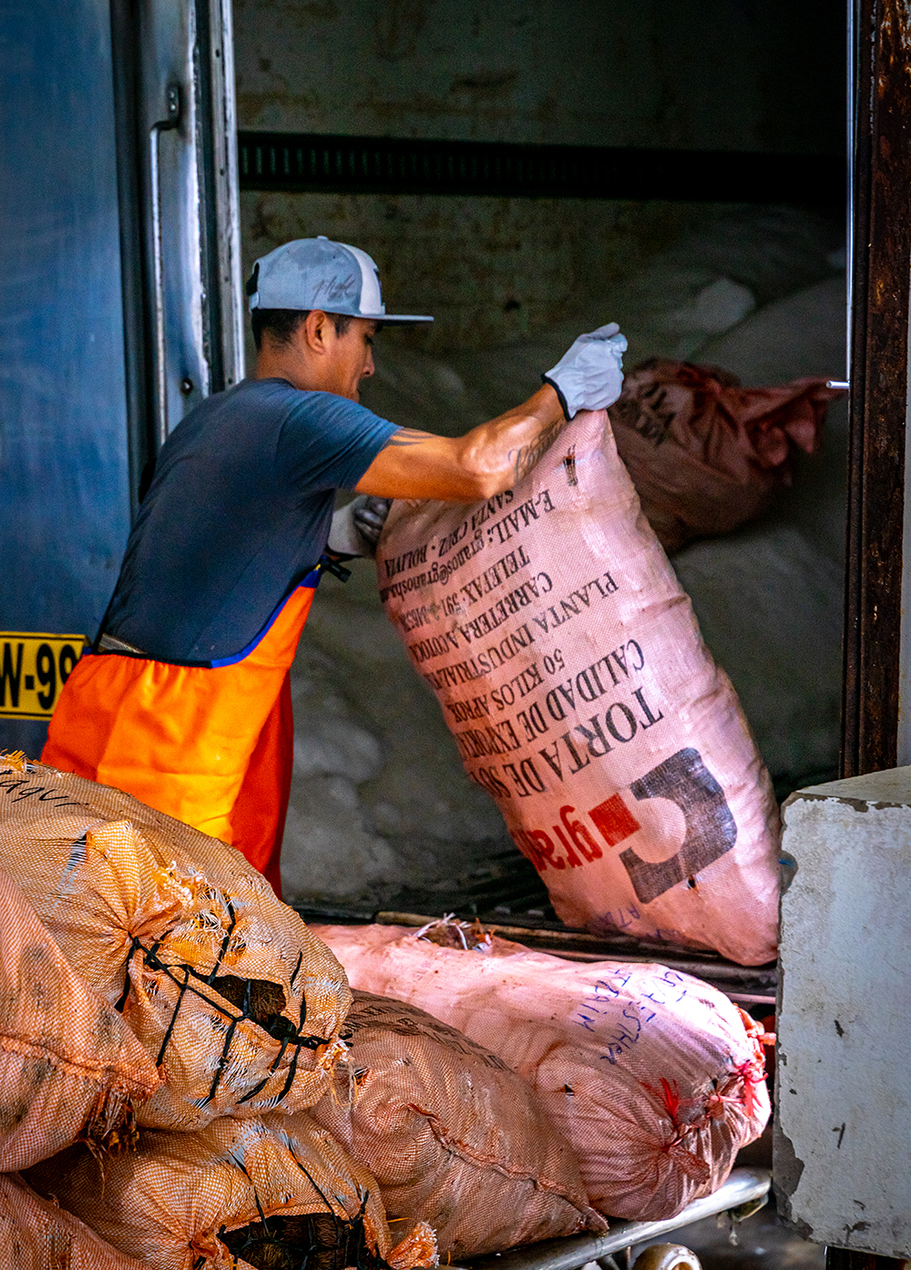 Futuro sostenible  Los últimos costales de erizo suben al camión frigorífico rumbo al comprador. Este cierre de la faena reafirma la legitimidad de los acuerdos de autorregulación en la saca del erizo rojo. Pero para que este esfuerzo colectivo perdure, es necesario dar el siguiente paso: un plan de extracción que proteja al erizo frente a terceros ajenos a los acuerdos y asegure, al mismo tiempo, los años de trabajo compartido y la sostenibilidad de la especie.  Autor: Danyer Mamani