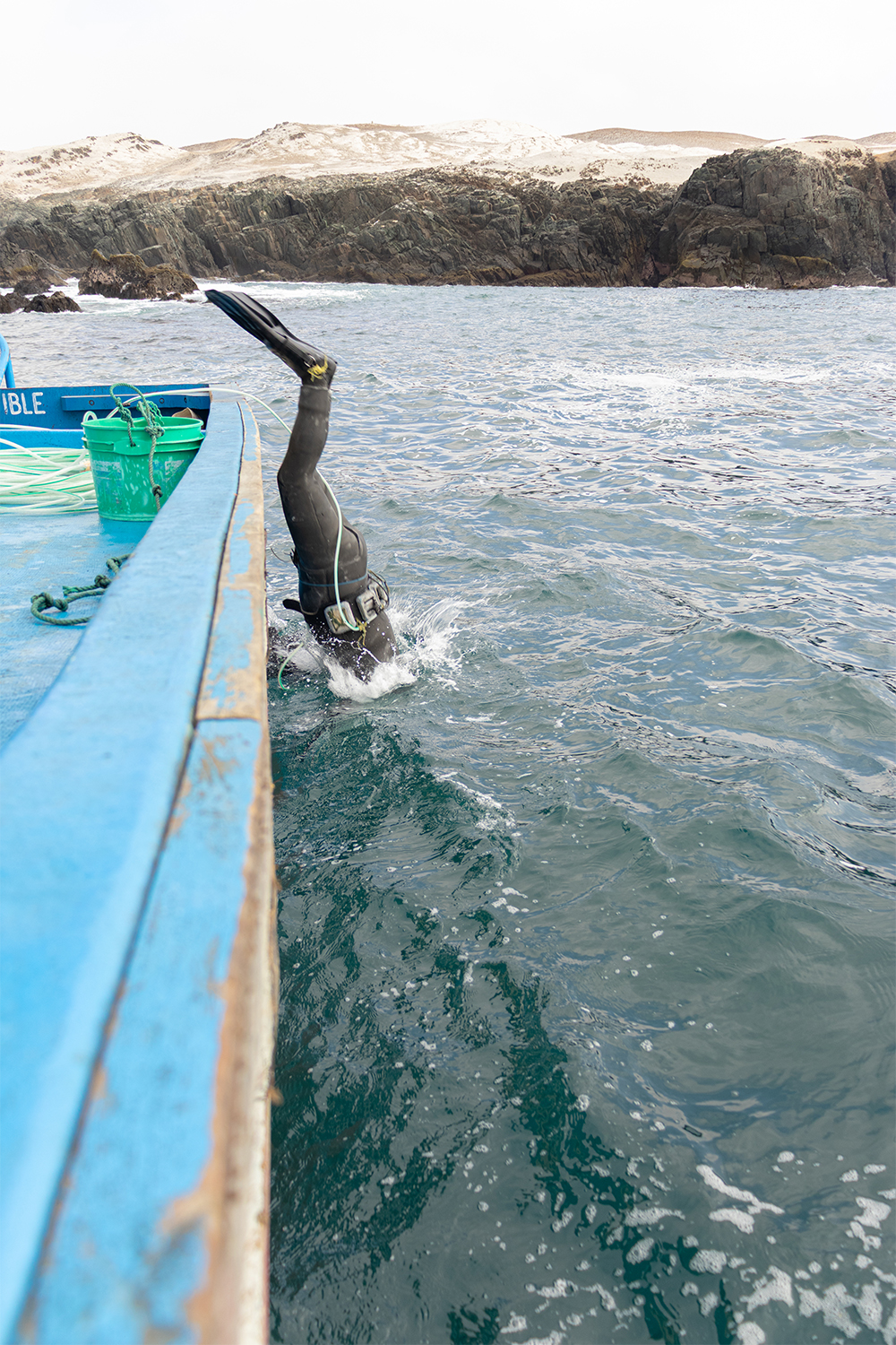 Destreza en las profundidades  Bajo el agua comienza el verdadero desafío. Conectados al compresor por la manguera de aire, los buzos descienden lentamente y, en medio de corrientes y presión, deben mantener la calma, moverse con destreza y hallar al erizo rojo entre las rocas. Cada ejemplar depositado en el capacho es fruto de esfuerzo, resistencia y habilidad. En este entorno silencioso, el esfuerzo individual se convierte en parte de una tarea colectiva.   Autor: Jean Castro