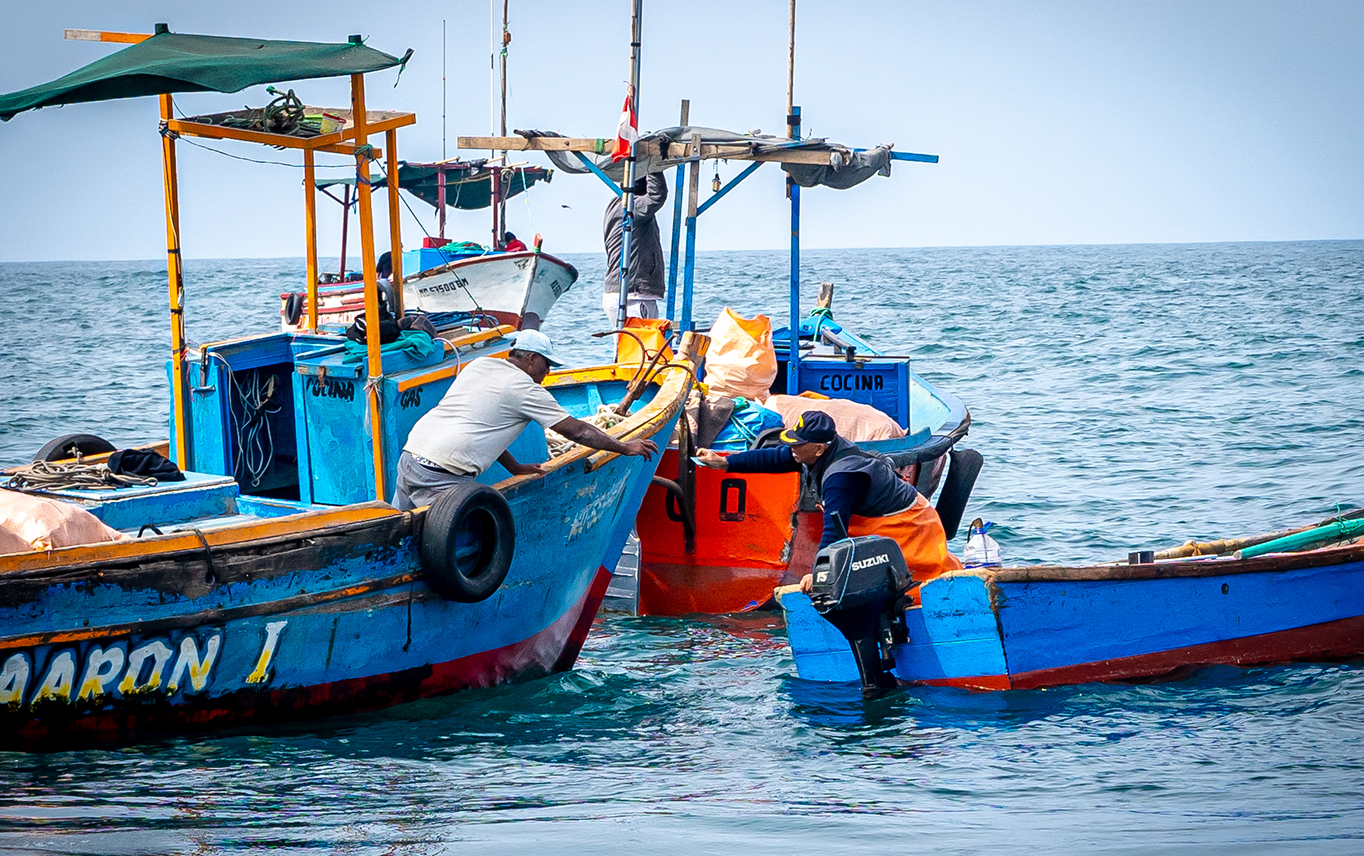 Respeto a los acuerdos En el arribo, cada buzo y su embarcación pasan por el control y recibe un ticket de otro pescador que certifica que su extracción se realizó cumpliendo con los acuerdos como la zona y el día establecidos. Este acto refleja que el sistema no depende de la vigilancia externa, sino de la confianza y el compromiso mutuo entre pescadores artesanales.  Autor: Danyer Mamani