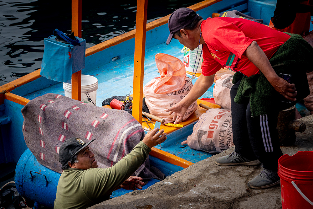 Control en el Desembarque  El desembarque marca un momento clave. Al llegar al muelle, el pescador entrega el mismo ticket recibido en altamar, comprobante que confirma que la extracción se hizo en la zona designada. Este gesto simboliza confianza, transparencia y compromiso colectivo, garantizando que el acuerdo de extracción se cumpla desde el mar hasta tierra firme.  Autor: Danyer Mamani