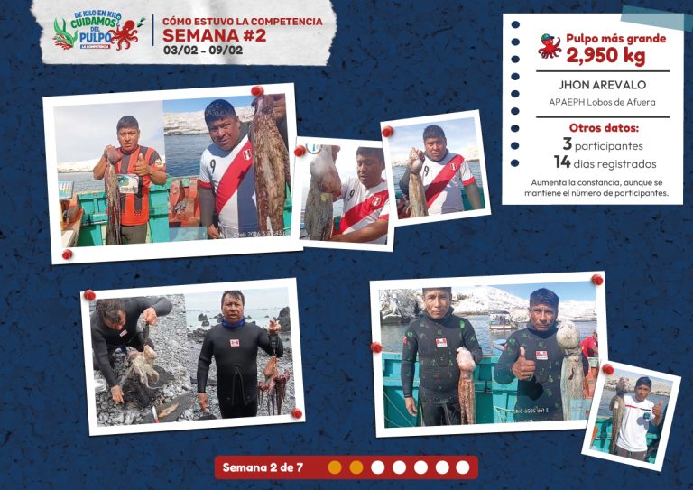 Buzos participantes en la semana 2