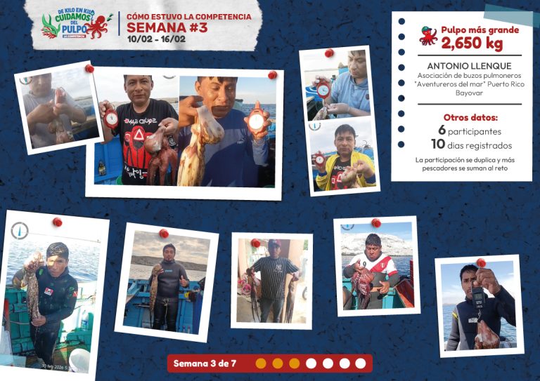 Buzos participantes en la semana 3