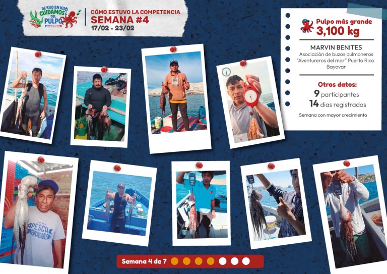 Buzos participantes en la semana 4