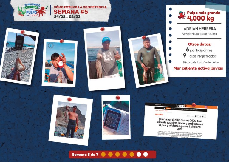 Buzos participantes en la semana 5