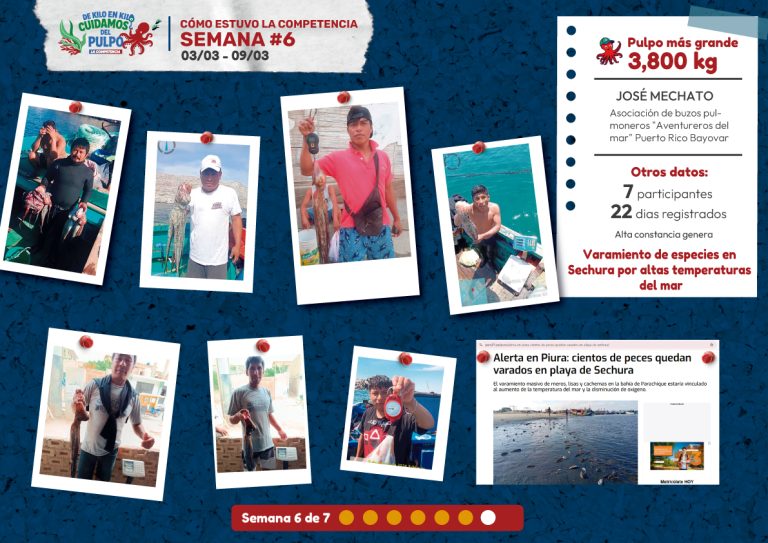 Buzos participantes en la semana 6