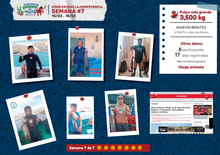 Buzos participantes en la semana 7