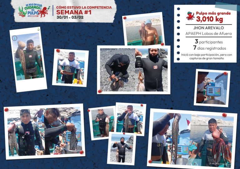 Participaciones semana 1