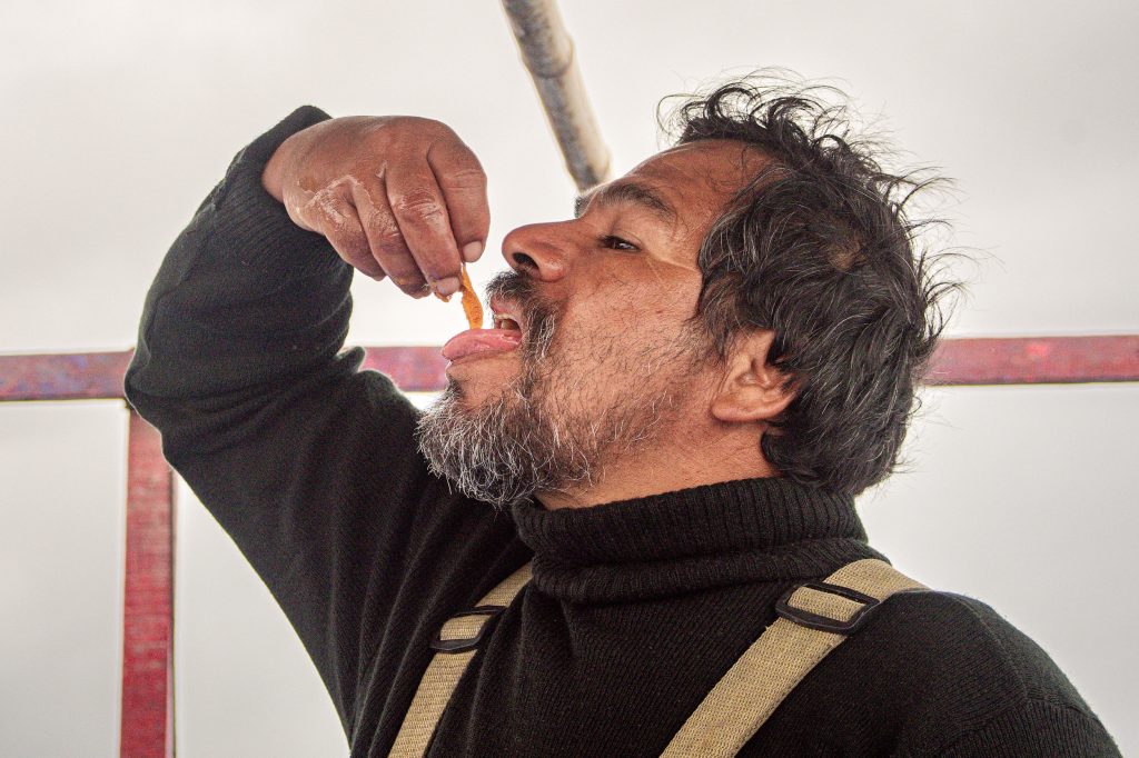 Pescadores de Matarani y Mollendo recuperaron el erizo rojo mediante acuerdos sostenibles que hoy son un modelo nacional.