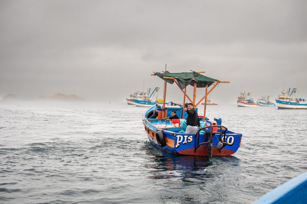 Pescadores artesanales de erizo rojo de Matarani y Mollendo logran acuerdos para proteger y aprovechar de manera sostenible los recursos marinos.
