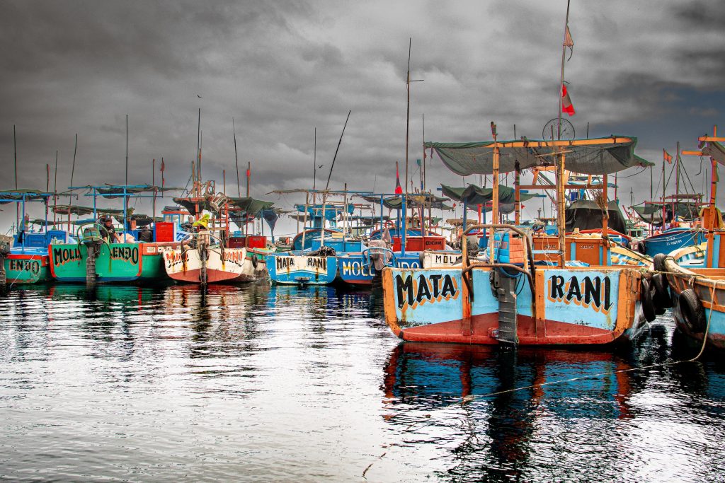 Pescadores artesanales de erizo rojo de Matarani y Mollendo logran acuerdos para proteger y aprovechar de manera sostenible los recursos marinos.