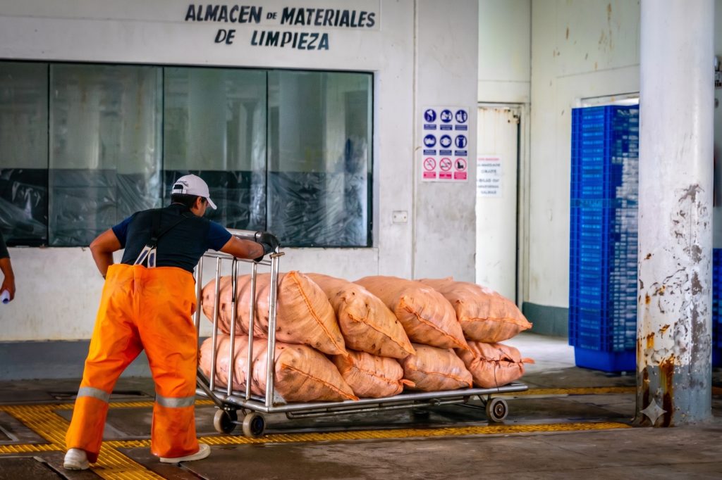 Pescadores de Matarani y Mollendo recuperaron el erizo rojo mediante acuerdos sostenibles que hoy son un modelo nacional.